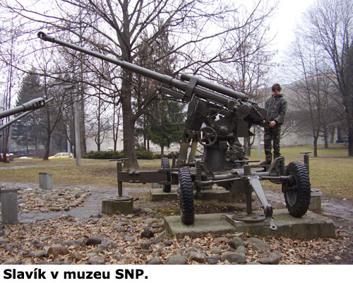 Slavík v muzeu SNP.