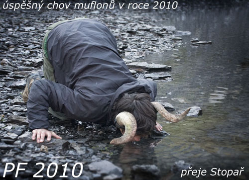 PF 2010.