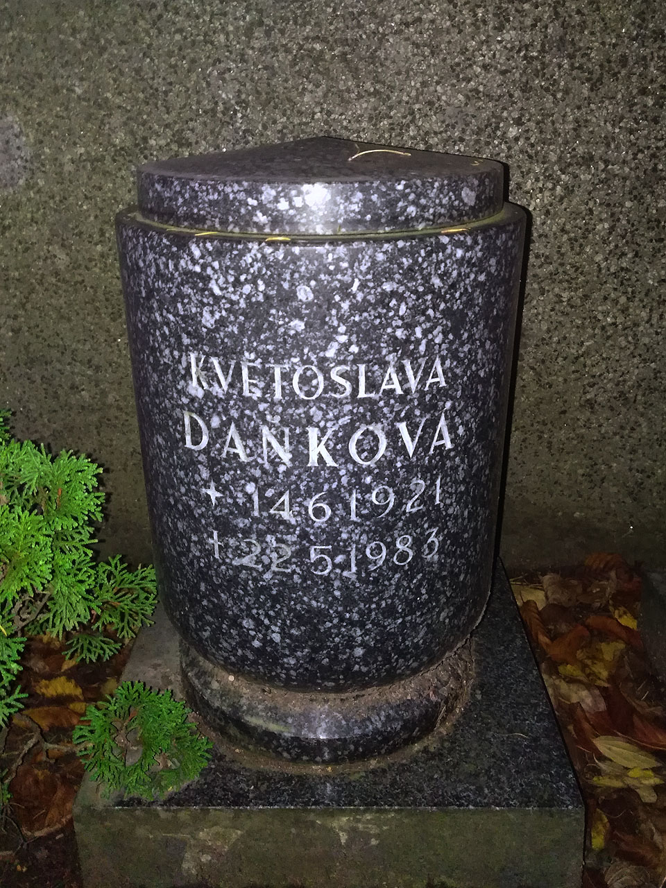 Květoslava Daňková byla snachou prapraprastrýce Leodegara Daňka, narozeného v roce 1866. V rodině se nachází o jednu generaci níže, ale byla o celých 55 let mladší! Díky tomu zemřela pouhé dva roky před mým narozením.