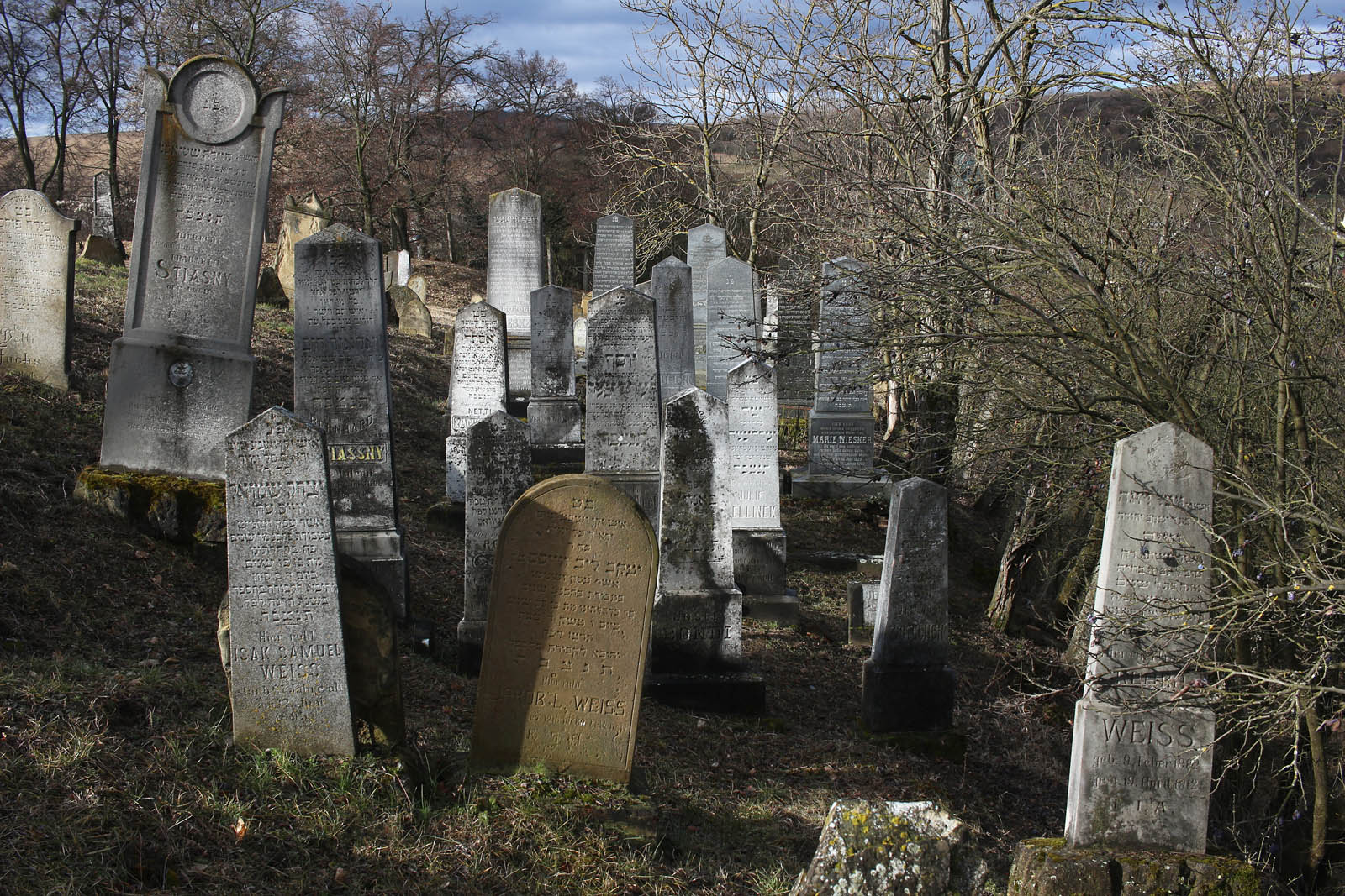 Dambořice jsou zvláštní obec na pomezí roviny a hor, co nejsou hory. Tady se ještě jmenují Ždánický les. Myslel jsem si, že jsme pořád těsně za jihovýchodním okrajem Brna a tak jsem byl v šoku, když jsem zjistil, že Dambořice měly kdysi nádraží na Ždánické dráze! Kromě toho je tu taky neobvyklý židovský hřbitov ze 16. století, který těsně přiléhá ke hřbitovu křesťanskému (a taky ateistickému).