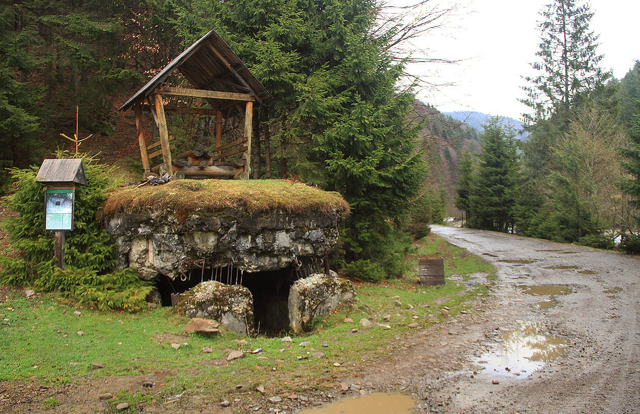 Osamocenáý bunkr lehkého opevnění tzv. linie Arpáda za vstupem do Siněvírského národního parku.