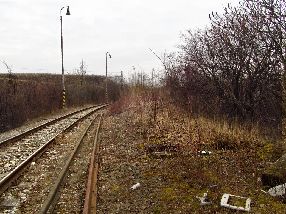 Pohled nazpět k heršpickému nádraží. Vpravo jsou patrné pozůstatky druhé koleje.