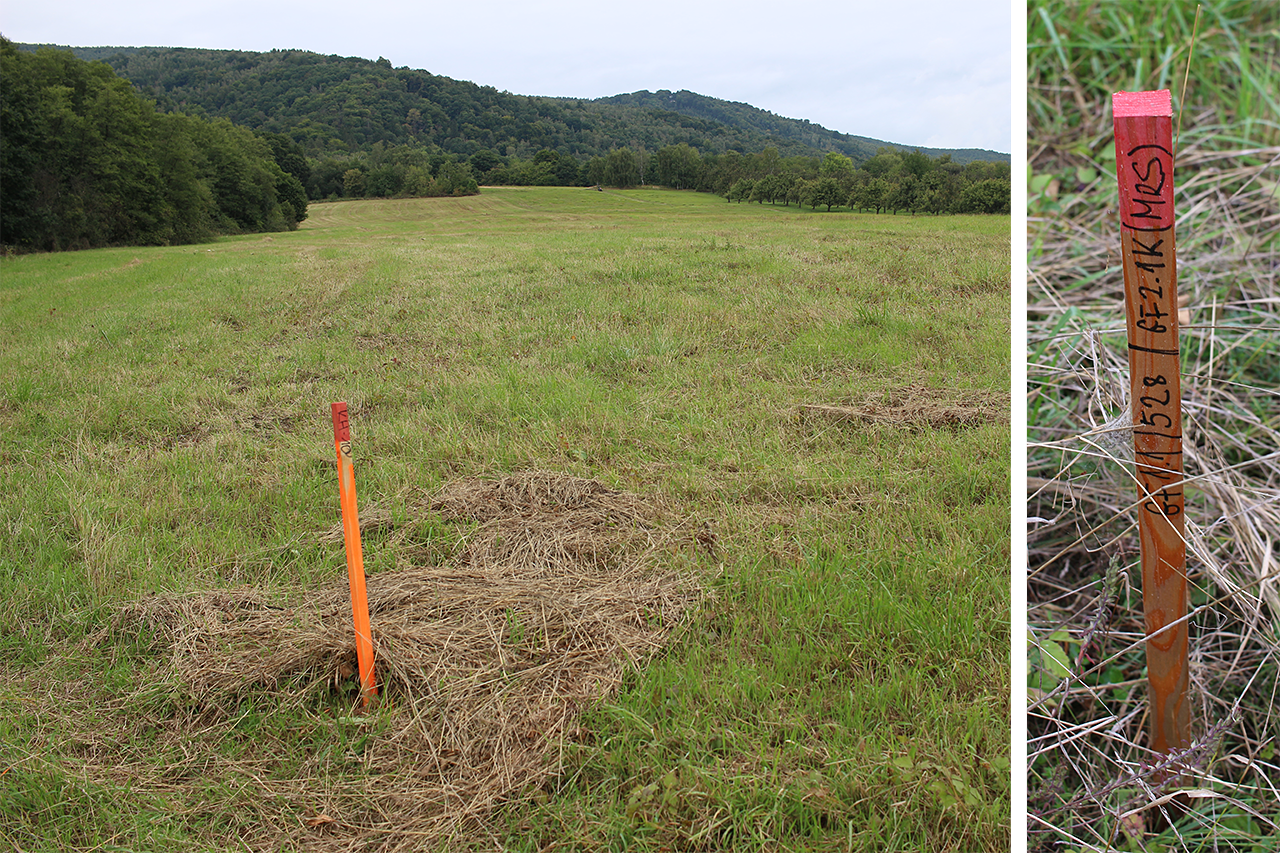 Zhruba 1,5 km odsud, severně od nádraží se v roce 2025 už rozběhly práce na vytýčení nové železniční trati a hlavně jižního portálu Krušnohorského tunelu, kterým se snad budou jednoho dne prohánět rychlovlaky do Německa.
