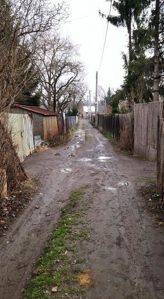 Kolonie Na Slatinách je tvořena především uježděnými bahnitými cestami. Foto: Adéla Ogino.