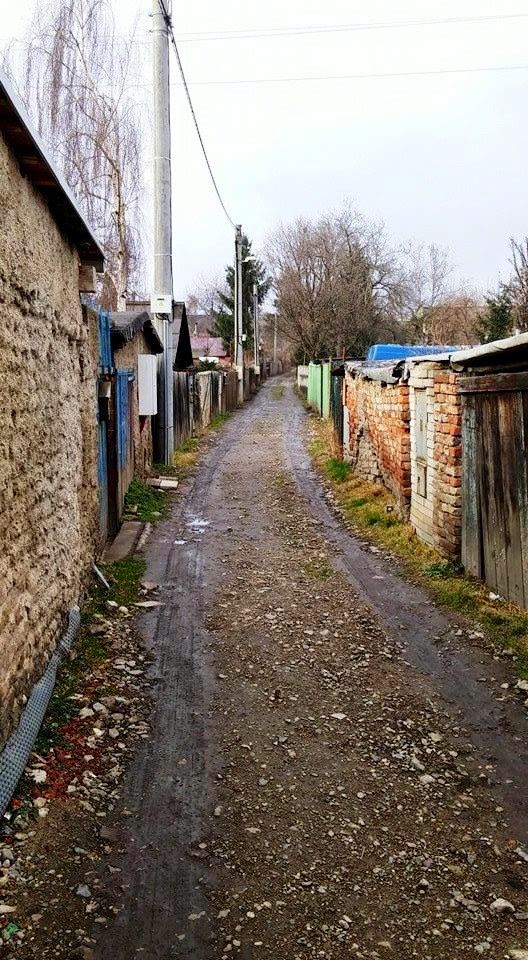Navíc se všechny jmenují stejně. Foto: Adéla Ogino.