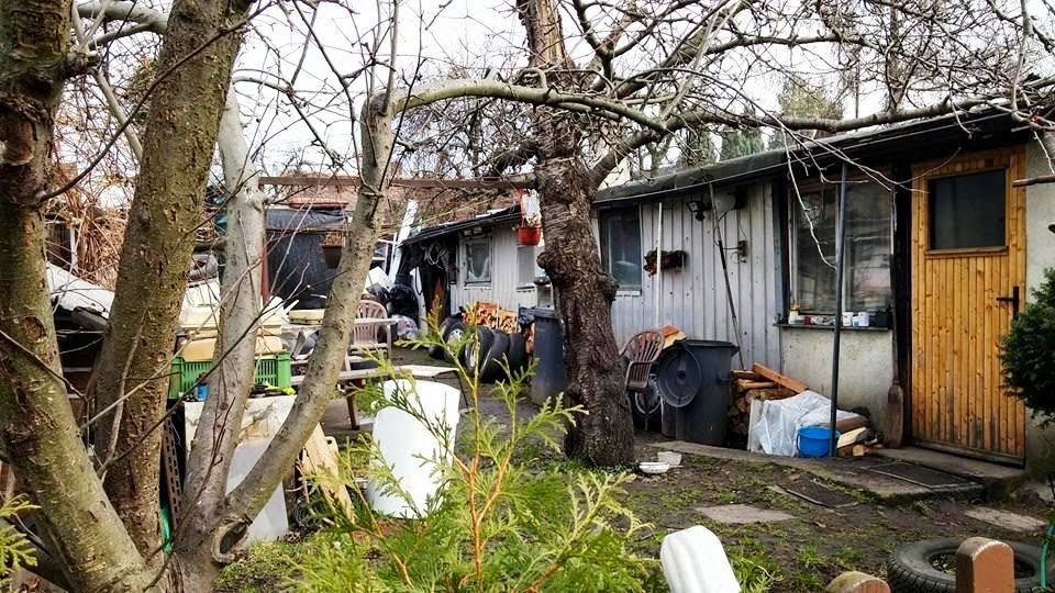Poněkud plastové zátiší v kolonii Na Slatinách. Foto: Adéla Ogino.