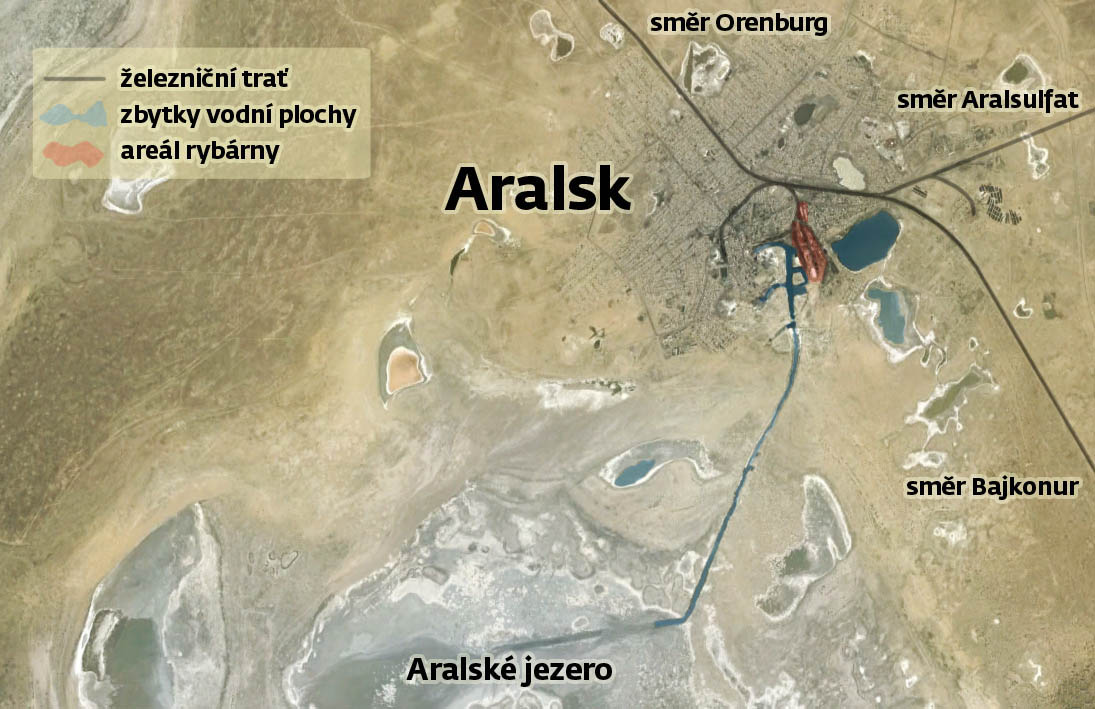 V Aralsku žije zhruba 31000 obyvatel. Město dřív leželo na břehu Aralského jezera a většina obyvatel se živila lovem a zpracováním ryb. Když začal břeh jezera ustupovat, hloubili obyvatelé ve dně kanál, který poskytoval dostatečnou hloubku pro rybářské lodě připlouvající k rybárně. Ani to ale nakonec nestačilo a mělká rýha na původním dně jezera dnes slouží pouze jako stoka odvádějící splašky z města do solisk, která zbyla na místě někdejšího jezera.