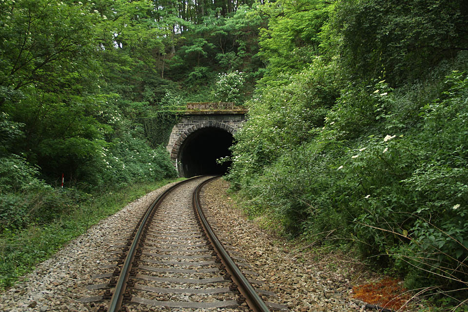 Severní portál tunelu Na Réně v tmavém a vlhkém údolí poblíž sedýlka mezi kopcí Réna a U Buku nad řekou Rokytnou.